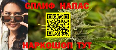 mdpv Краснознаменск