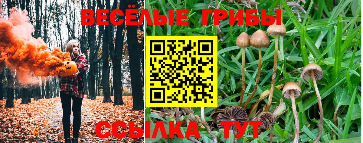 Галлюциногенные грибы ЛСД Канаш