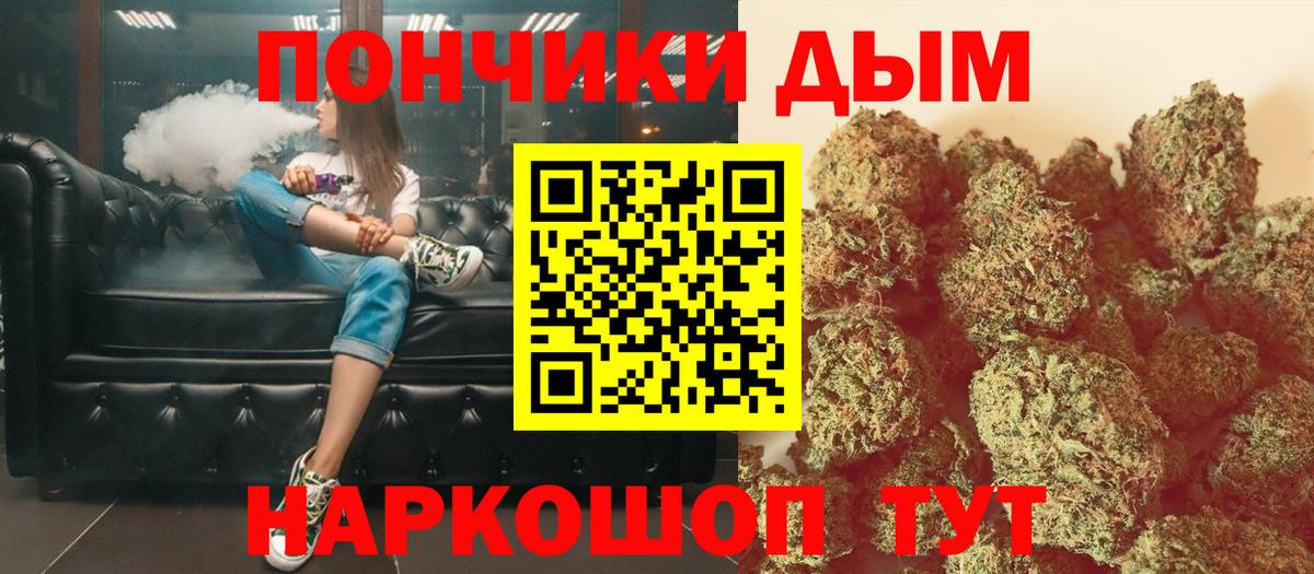 Канаш  МАРИХУАНА сатива  Шишки марихуана марихуана  Бошки марихуана индика  Вход с VPN 